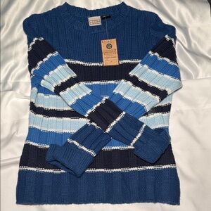 Arizona Jean Company Navy and Light Blue Striped Sweater